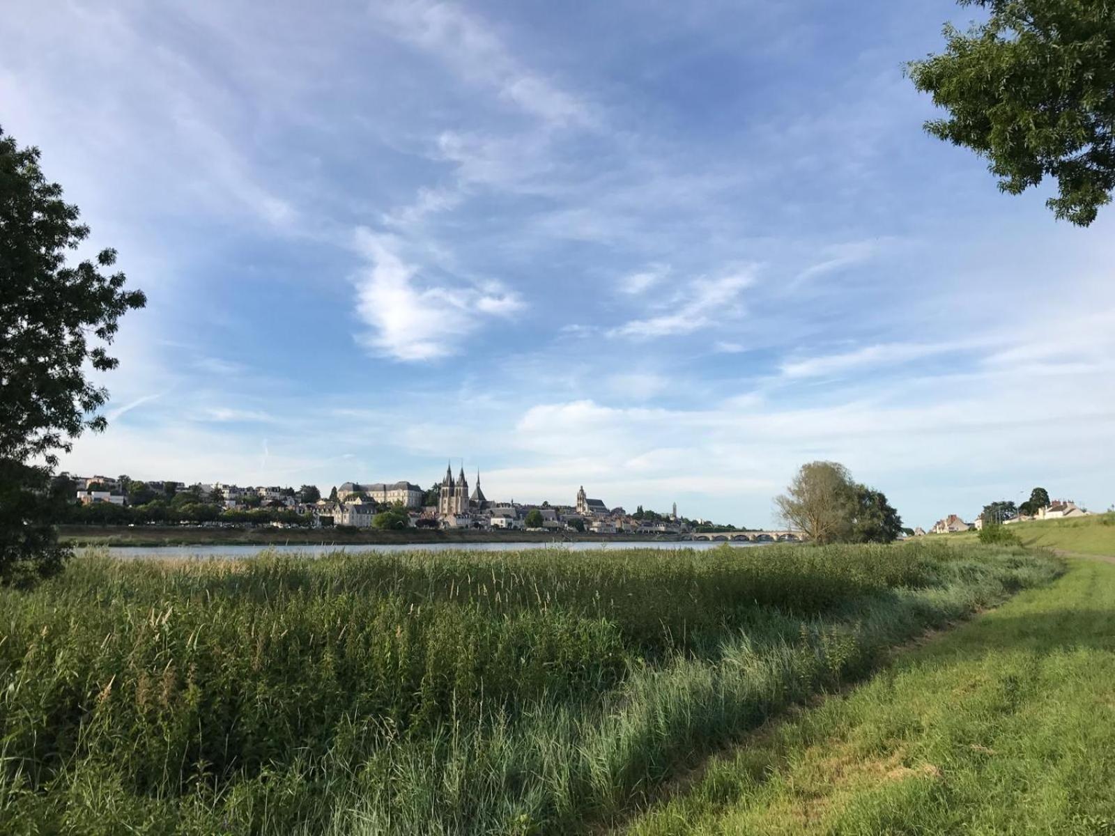 Appartement Quai De La Loire à Blois Extérieur photo