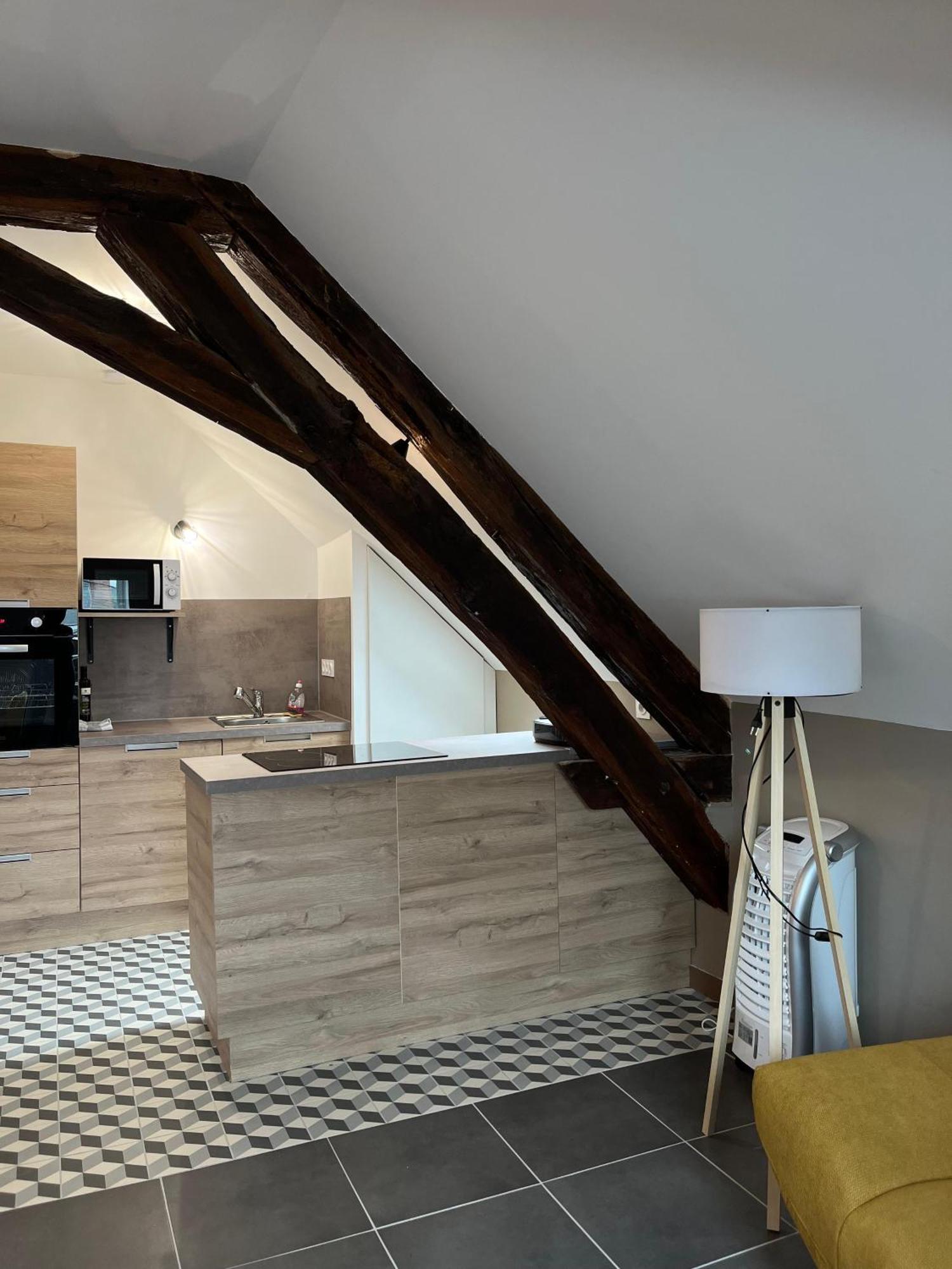 Appartement Quai De La Loire à Blois Extérieur photo