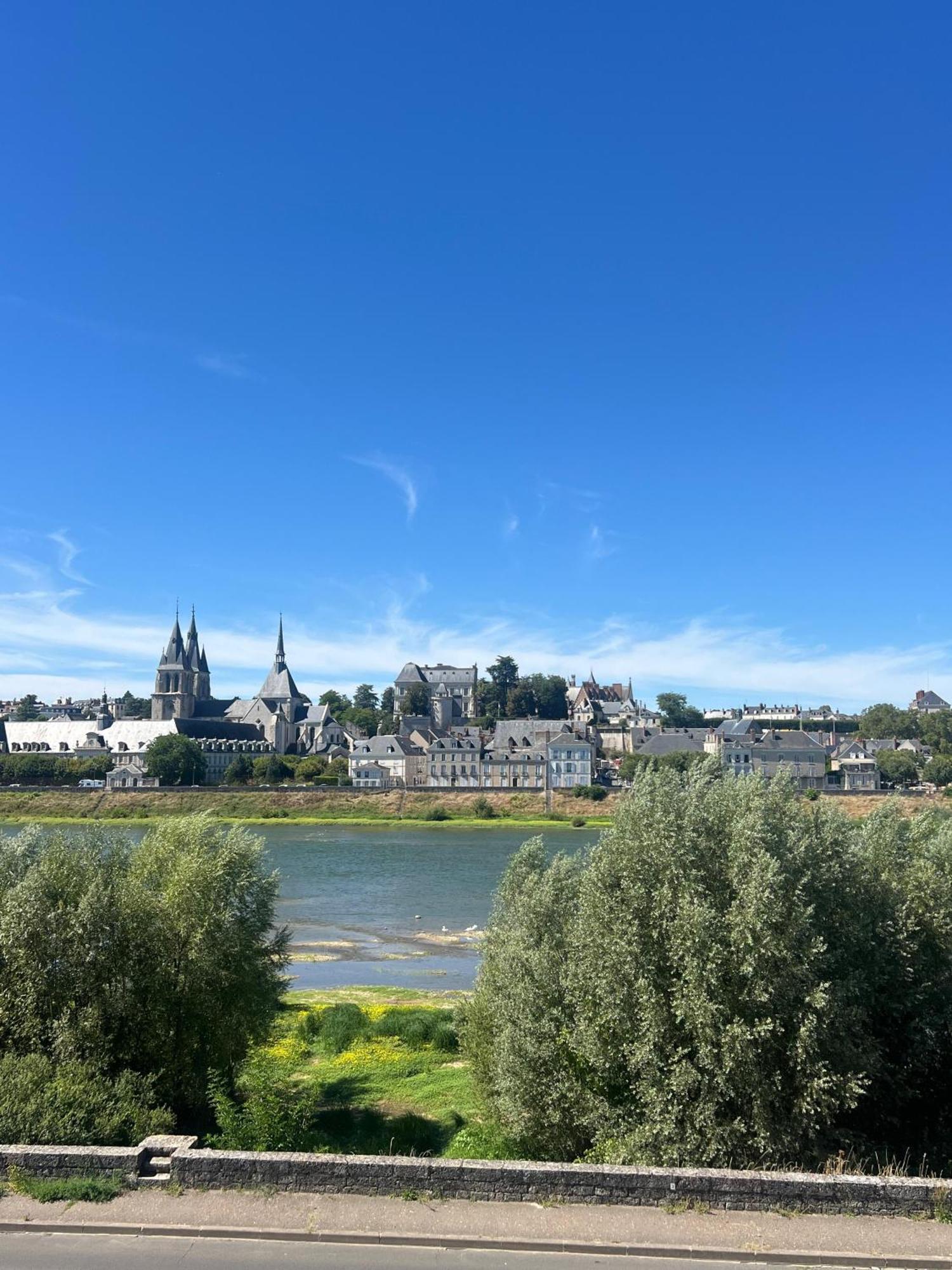 Appartement Quai De La Loire à Blois Extérieur photo
