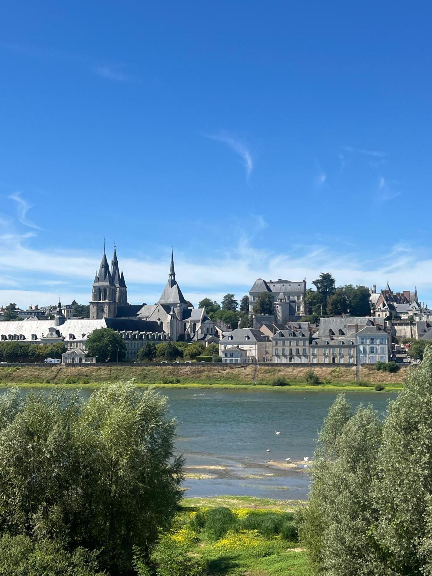 Appartement Quai De La Loire à Blois Extérieur photo